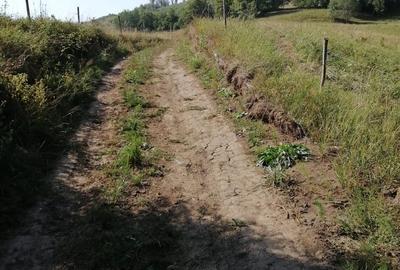 Teren de 1600 mp, în Cacica