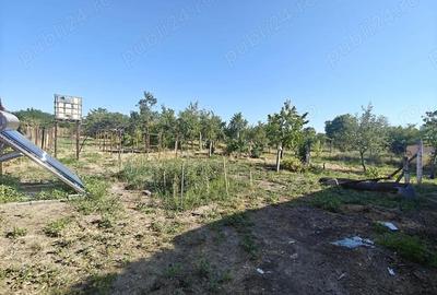 Casă cu 3 camere cu Teren 1600 Mp în Checea - 6