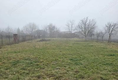 Casă cu Teren 2222 Mp în Dârlos - 1