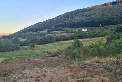 Teren de 1800 mp, în Poplaca - 5