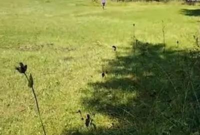 Teren de 4900 mp, în Poiana Horea