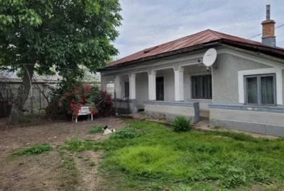 Spațiu comercial, în Cernica - 3