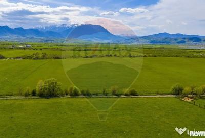 Teren în Pănicel