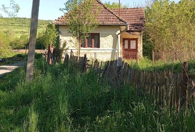 Casă cu 2 camere în Mura Mare - 3