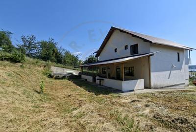 Casă individuală cu 6 camere cu Canalizare în Budeasa Mare - 20