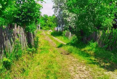 Teren Construcții intravilan de 9289 mp, în Breaza - 15