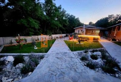 Casă cu 4 camere decomandat cu Teren 7851 Mp în Vintilă Vodă - 18