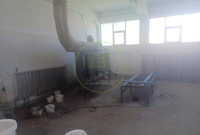 Spațiu industrial, de 1,200 mp, în Exterior Vest - 18