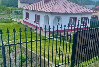 Casă cu 3 camere cu Teren 1366 Mp în Mărgineni - 4