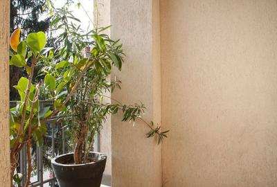 Apartament cu 3 camere decomandat în Decebal - 10