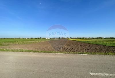 Teren Construcții intravilan de 6220 mp, în Strejnicu - 1