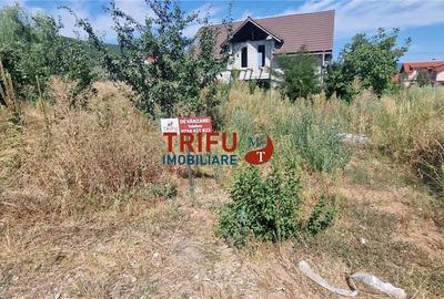 Spațiu comercial, în Micești