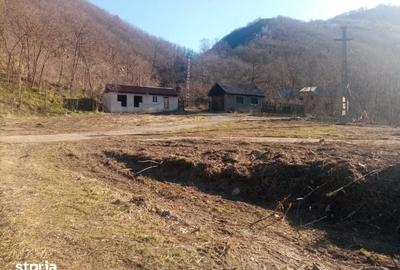 Teren de 7432 mp, în Sebeșel