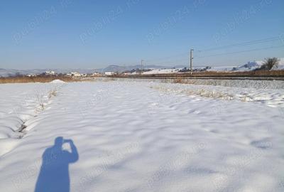 Teren de 4000 mp, în Florești - 2