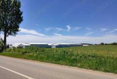Teren de 7800 mp, în Ciolpani