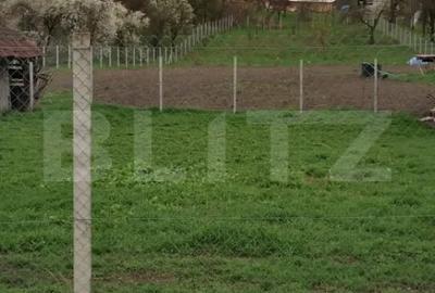 Teren de 3000 mp, în Călărași - 4