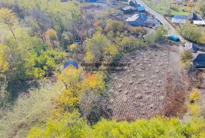 Teren Construcții intravilan de 11766 mp, în Costișa - 6