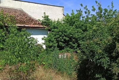 Casă cu 2 camere cu Teren 942 Mp în Periam - 1