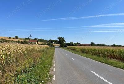 Teren de 10000 mp, în Central