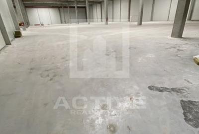 Spațiu industrial, de 800 mp, în Someșeni - 2