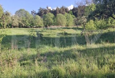 Teren de 10000 mp, în Tărlungeni