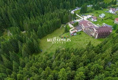 Teren Construcții intravilan de 12307 mp, în Moieciu de Sus - 12