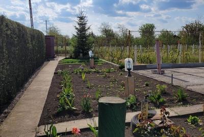 Casă cu 4 camere în Comana - 1