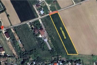 Teren de 4550 mp, în Ulmi