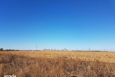 Teren de 26800 mp, în Lehliu - 3