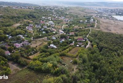 Teren de 1500 mp, în Copou