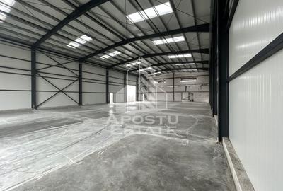 Spațiu industrial, de 770 mp, în Ghiroda - 4