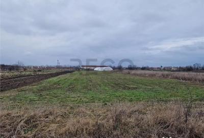 Teren de 1167 mp, în Borș - 4