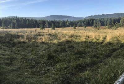 Teren de 2928 mp, în Comandău - 6