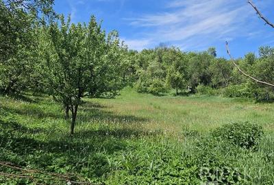Casă individuală cu 3 camere cu Teren 3000 Mp în Petrindu - 9