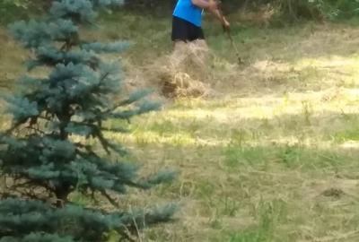 Teren de 1000 mp, în Jiblea Veche - 5