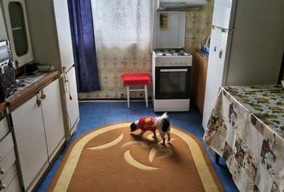 Apartament cu 2 camere în Uric - 5