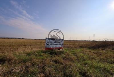 Teren agricol extravilan de 5050 mp, în Blejoi - 3