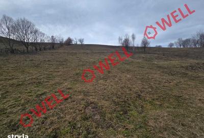 Teren de 4200 mp, în Barcani - 5