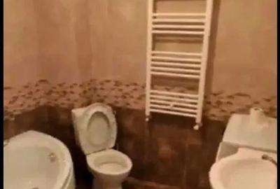 Apartament cu 2 camere semidecomandat în Podu Roș - 2