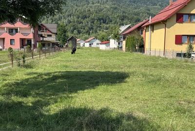 Teren de 2463 mp, în Băile Borșa - 1