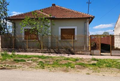 Casă individuală cu 4 camere cu Teren 1439 Mp în Central