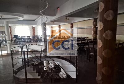 Casă individuală cu 8 camere cu Teren 4500 Mp în Măgura - 7