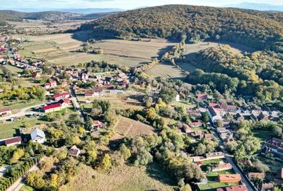 Teren Construcții intravilan de 2825 mp, în Vâlcele - 14