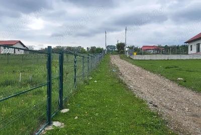 Teren de 7500 mp, în Voila - 5
