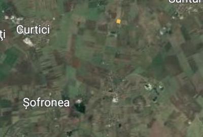 Teren de 10000 mp, în Șimand