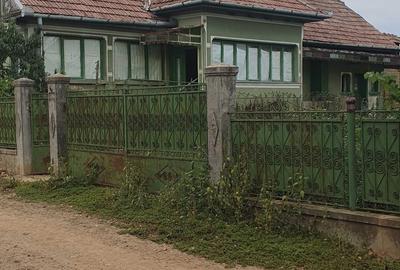 Casă cu 2 camere în Bădeni - 2