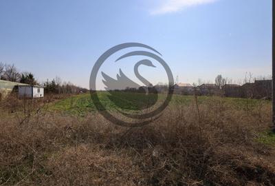 Teren Construcții intravilan de 7800 mp, în Târgșoru Nou - 3