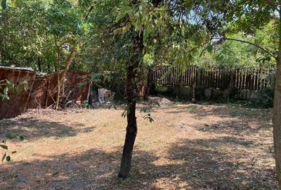 Casă cu 5 camere în Fratelia - 3