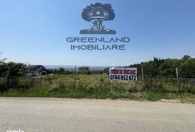 Spațiu comercial, în Păun - 5
