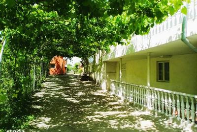 Casă cu 3 camere în Pleșoiu - 3